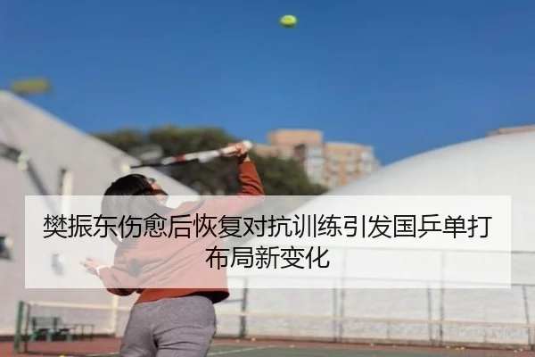 樊振东伤愈后恢复对抗训练引发国乒单打布局新变化